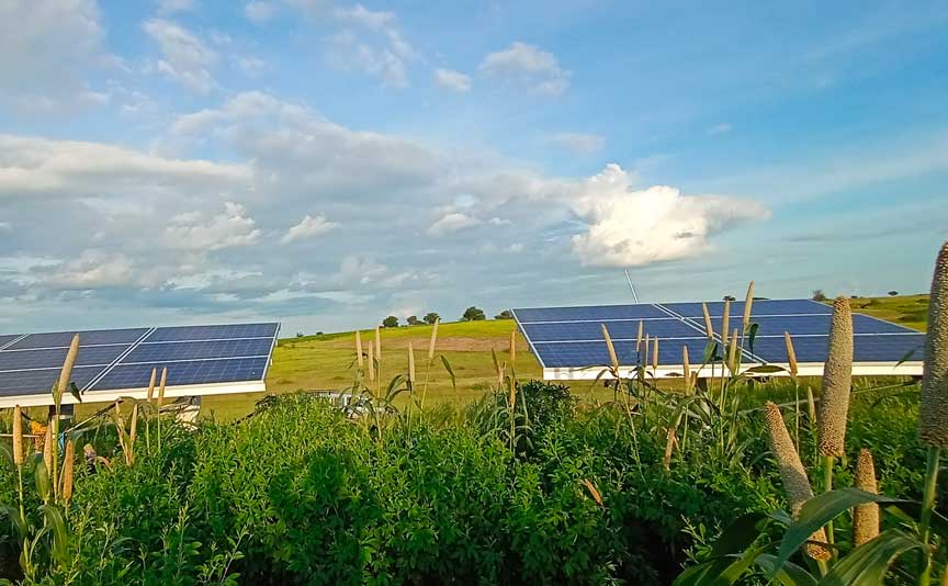 Solar Irrigation Pump
